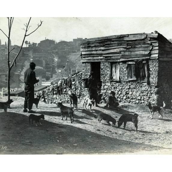 Print: Men, Children, And Dogs In Front Of A Building, Probably In Istanbul