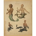thumbnail image 1 of Print: Mermaid--Mermaids Exhibited Successively In The Years 1758, 1775,, 1 of 4