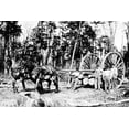 thumbnail image 1 of Print: Modern Methods In Woods At Cadillac, circa 1915, 1 of 4