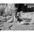thumbnail image 1 of Print: Monument Valley, Arizona, 2004, 1 of 4