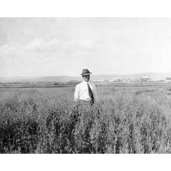 Print: Mr. Rickert In Grain Field On His Farm, circa 1900