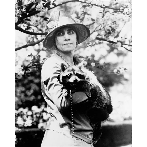 Print: Mrs. Calvin Coolidge, Half-Length Portrait, Standing, Facing Front