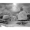 thumbnail image 1 of Print: Necropolis De Colon, Havana, Cuba, 2010, 1 of 4