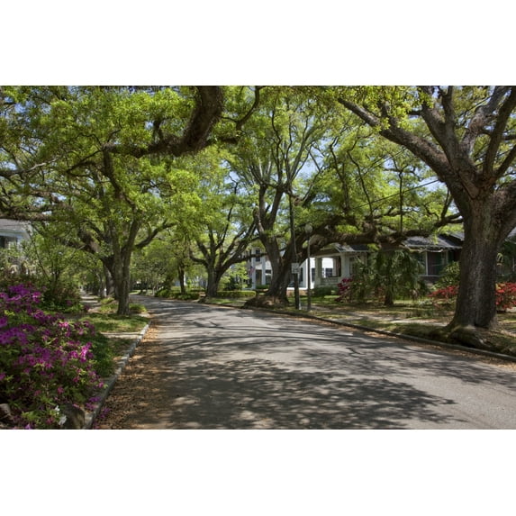 Print: Oakleigh Neighborhood In Mobile, Alabama, 2010