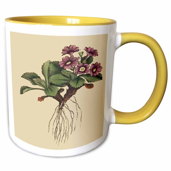 3drose, Print of Mountain Primula Plant from 1700, 11oz Two-tone Yellow Mug