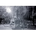 thumbnail image 1 of Print: Old Live Oak Cemetery, Selma, Alabama, 2010, 1 of 4