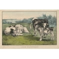 thumbnail image 1 of Print: Our Pasture, circa 1835, 1 of 4