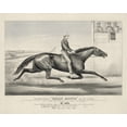 thumbnail image 1 of Print: Pacing Horse Billy Boyce Of St. Louis: As He Appeared At Buffalo, 1 of 4