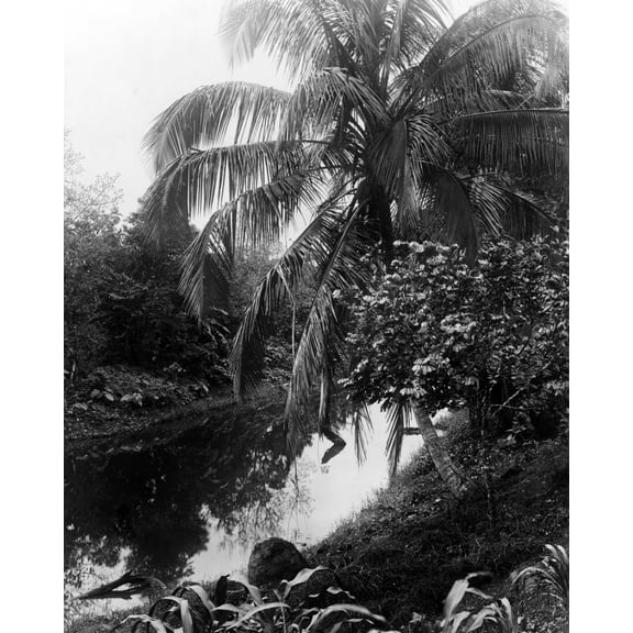 Print: Panama--Scenery, 1911