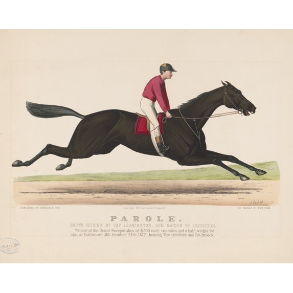 Print: Parole: Brown Gelding By Imp. Leamington, Dam Maiden By Lexington
