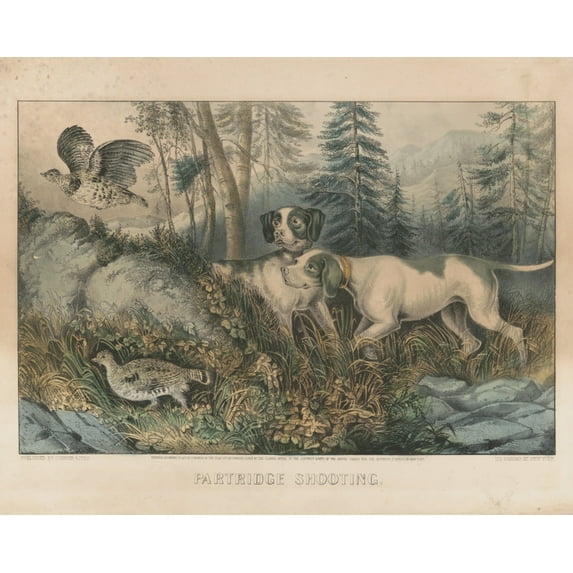 Print: Partridge Shooting, 1870