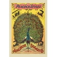 thumbnail image 1 of Print: Peacock Styles. Anchor Buggy Co., 1897, 1 of 4