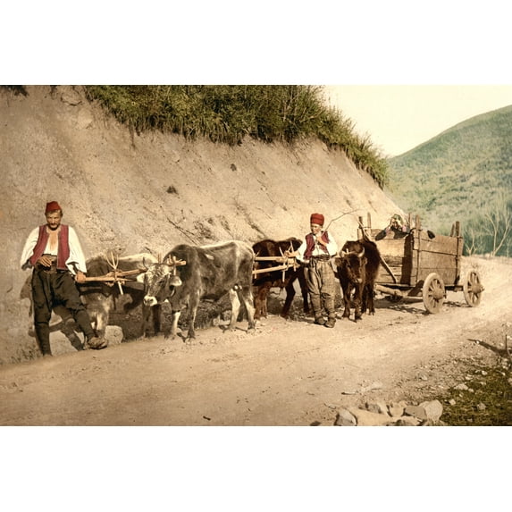 Print: Peasant Wagon, Bosnia, Austro-Hungary, circa 1890