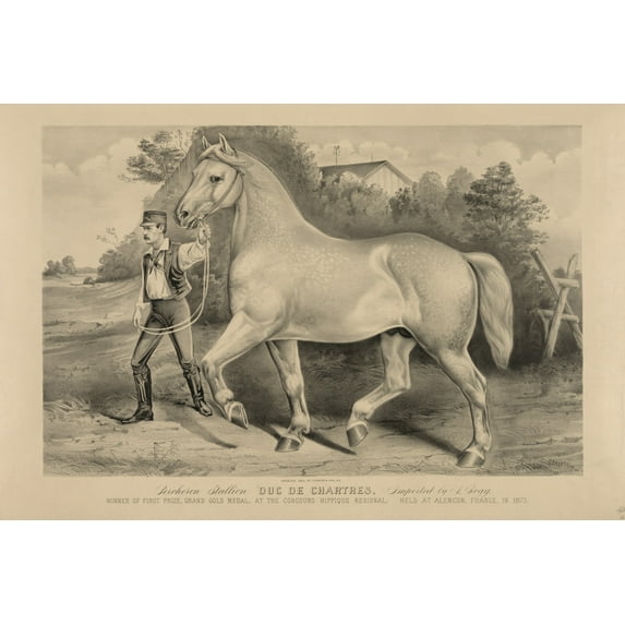 Print: Percheron Stallion Duc De Chartres, Imported By A. Rogy: Winner Of