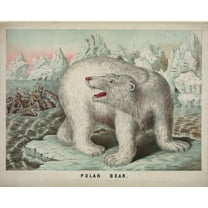 Print: Polar Bear
