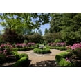thumbnail image 1 of Print: Pope Mansion, Built In 1814 On The Highest Hill In Huntsville, 1 of 4