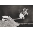 thumbnail image 1 of Print: Ready For A Dive, 1914, 1 of 4