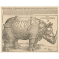 thumbnail image 1 of Print: Rhinoceros, 1515, 1 of 4
