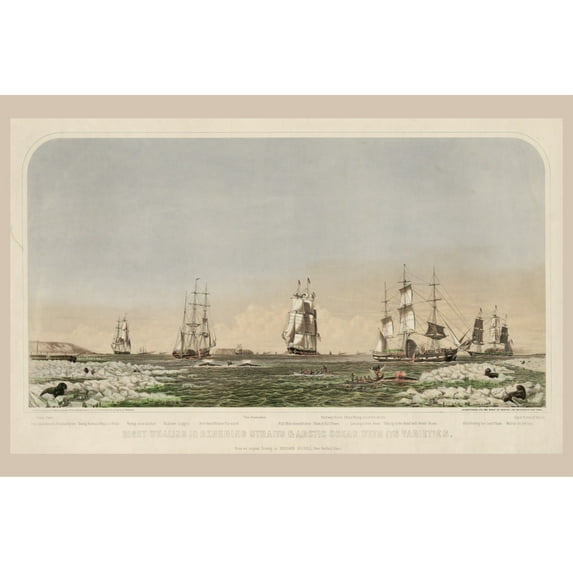 Print: Right Whaling In Behering Straits & Arctic Ocean With Its Varieties