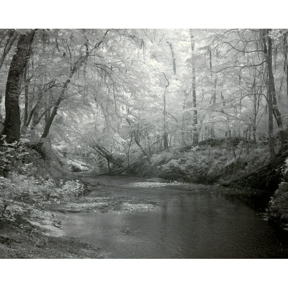 Print: Rikard's Mill, Near Beatrice, Alabama, 2010