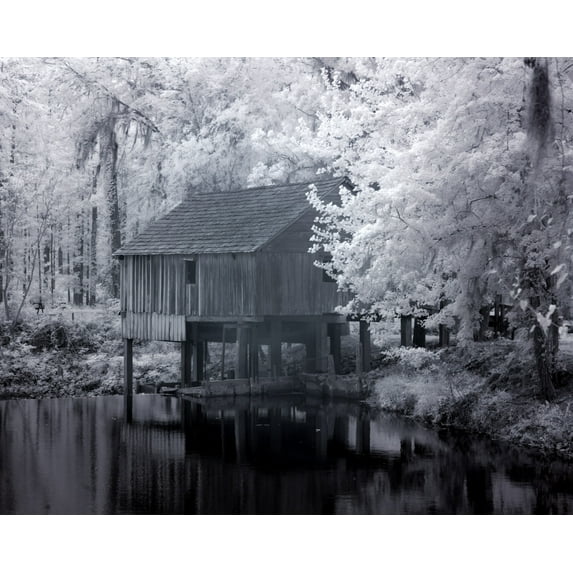 Print: Rikard's Mill, Near Beatrice, Alabama, 2010