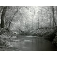 thumbnail image 1 of Print: Rikard's Mill, Near Beatrice, Alabama, 2010, 1 of 4