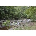 thumbnail image 1 of Print: Rock Creek Park, NW, Washington, D.C., 2010, 1 of 4