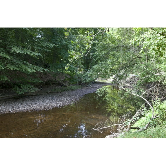 Print: Rock Creek Park, NW, Washington, D.C., 2010