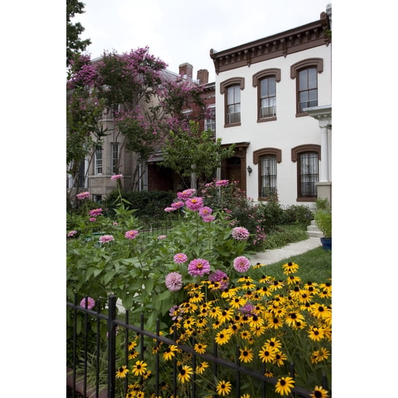 Print: Row Houses, East Capitol St., Washington, D.C., 2010