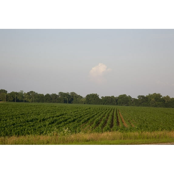 Print: Rural Alabama, 2010