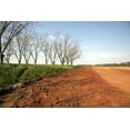 thumbnail image 1 of Print: Rural Alabama In The Spring, 2010, 1 of 4