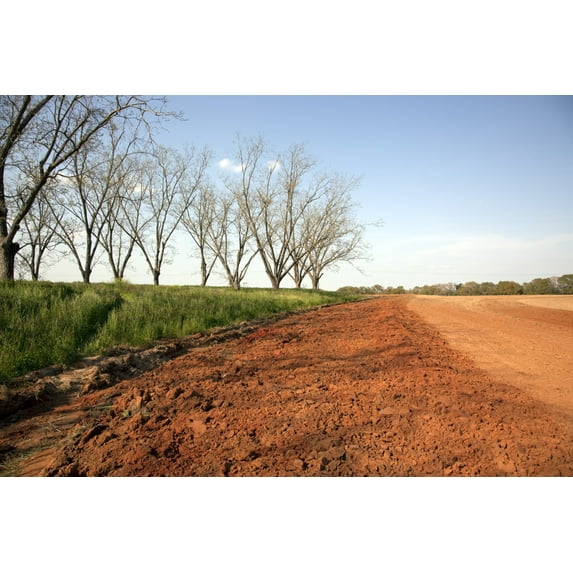 Print: Rural Alabama In The Spring, 2010