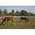 thumbnail image 1 of Print: Rural Alabama In The Spring, 2010, 1 of 4