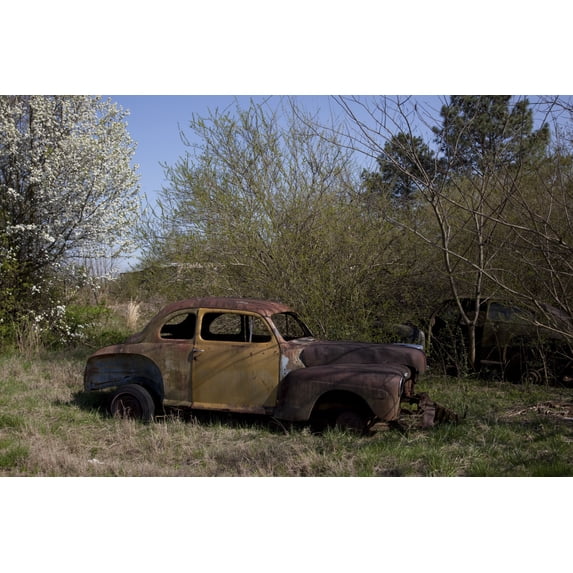 Print: Rural Alabama In The Spring, 2010