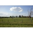 thumbnail image 1 of Print: Rural Alabama In The Spring, 2010, 1 of 4