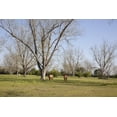 thumbnail image 1 of Print: Rural Alabama In The Spring, 2010, 1 of 4