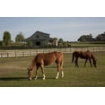 thumbnail image 1 of Print: Rural Alabama In The Spring, 2010, 1 of 4