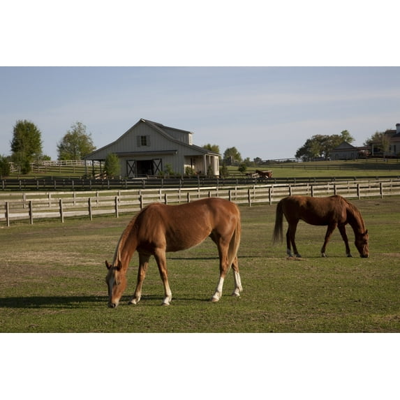 Print: Rural Alabama In The Spring, 2010