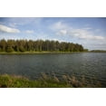 thumbnail image 1 of Print: Rural Alabama In The Spring, 2010, 1 of 4