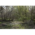thumbnail image 1 of Print: Rural Alabama In The Spring, 2010, 1 of 4