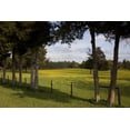 thumbnail image 1 of Print: Rural Alabama In The Spring, 2010, 1 of 4