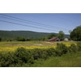 thumbnail image 1 of Print: Rural Alabama Scene, 2010, 1 of 4