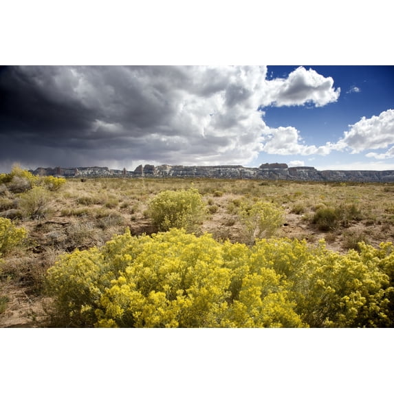 Print: Rural Colorado, 2006