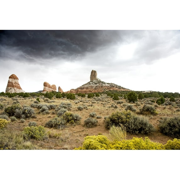 Print: Rural Desert, Arizona, 2006