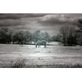 thumbnail image 1 of Print: Rural Scene In Alabama, 2010, 1 of 4
