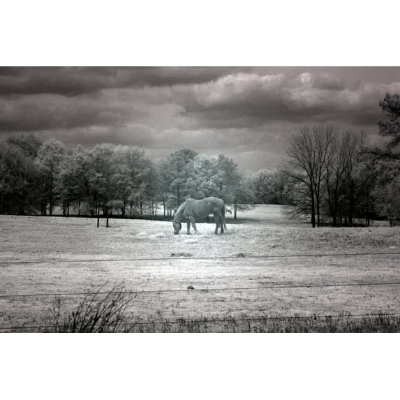 Print: Rural Scene In Alabama, 2010