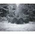 thumbnail image 1 of Print: Rural Scene In Alabama, 2010, 1 of 4