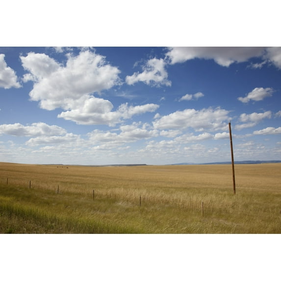 Print: Rural Scene, South Dakota, 2009