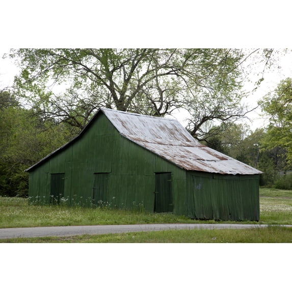 Print: Rural Studio Architecture, Alabama, 2010