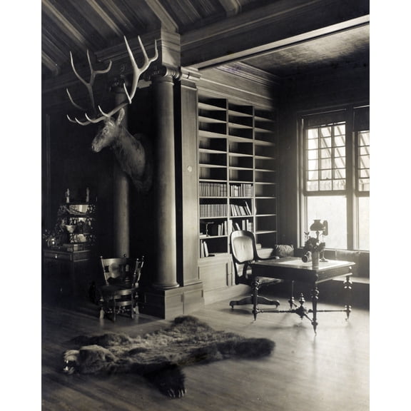 Print: Sagamore Hill, President Roosevelt's Country Home North Room